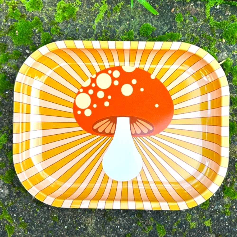 2 Cute Little Mushroom Trays